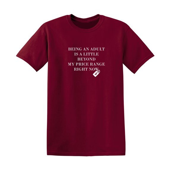 Being An Adult is a Little Beyond My Price Range Right No Sarcastic Humor Graphic Novelty Funny T Shirt