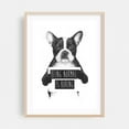 thumbnail image 1 of Being normal is boring - Illustration Dog Humor Quote Black and White Animal Typography Sketch Oak Framed Wall Art Print 12 x 16 inches, 1 of 15