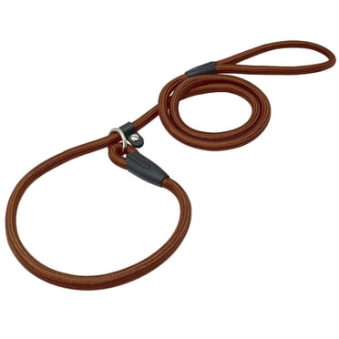 Nylon Training Slip Rope Dog Leash – No Collar Needed, Adjustable, For Small/Medium/Large Dogs, USA