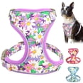 thumbnail image 1 of Beirui Floral Pet Dog Cat Harness Reflective Soft Air Mesh Walking Vest for Small Large Dogs, 1 of 5