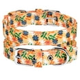 thumbnail image 1 of Beirui Floral Printed Pet Dog Collar Nylon Adjustable for Small Medium Large Dogs, 1 of 10