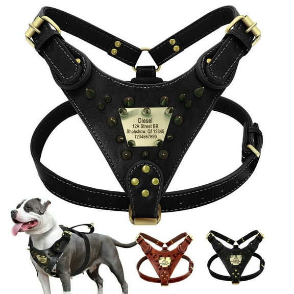 Beirui Personalized Spiked Genuine Leather Dog Harness with Customized Name Plate for Medium Large Dogs Pitbull Boxer