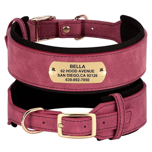 Beirui Personalized Wide Leather Dog Collar Soft Padded Free Engraving for Medium Large Dogs Adjustable