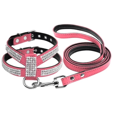 benicci hands free waist dog leash Nice Paws Hands-Free Bungee Reflective Leash  Gralen Company