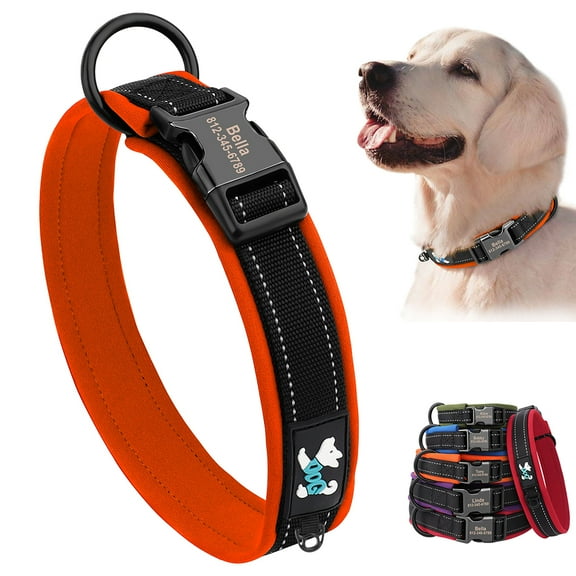 Beirui Soft Padded Personalised Dog Collar Reflective Nylon Heavy Duty Buckle for Labrador