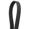 thumbnail image 1 of Beisidaer Ribbed Belt Pj1250 Sports Bike Treadmill Belt 6/8/10/12Ribs Fitness Products, 1 of 8