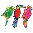 thumbnail image 1 of Beistle 17" Tissue Exotic Birds 12/Pack 55274, 1 of 1