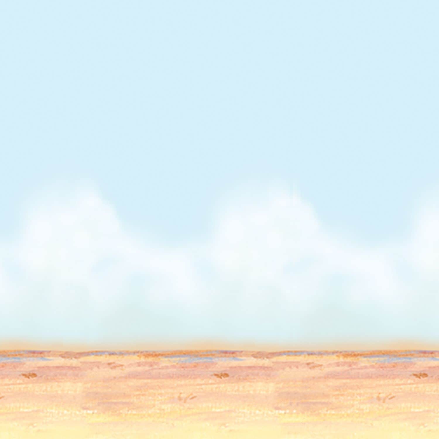 Desert Sky and Sand Photography Backdrop, 4' x 30'