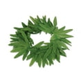 thumbnail image 1 of Beistle 57409 Tropical Fern Leaf Headband - Pack of 12, 1 of 1