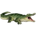 thumbnail image 1 of Beistle  Jointed Crocodile Decoration with One-Sided Printed - Pack of 12, 1 of 7