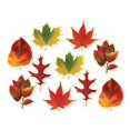 thumbnail image 1 of Beistle Mini Leaf Cutouts, 4‚Äù-4.75‚Äù, 10 Piece Pack, 1 of 3
