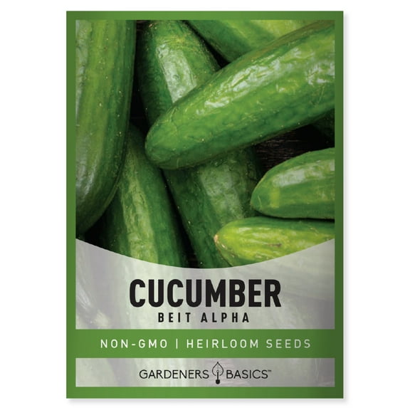 Beit Alpha Cucumber Seeds