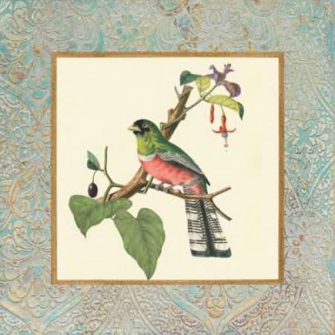 Bel Air Songbirds II Canvas Art - Zachary Alexander (24 x 24)