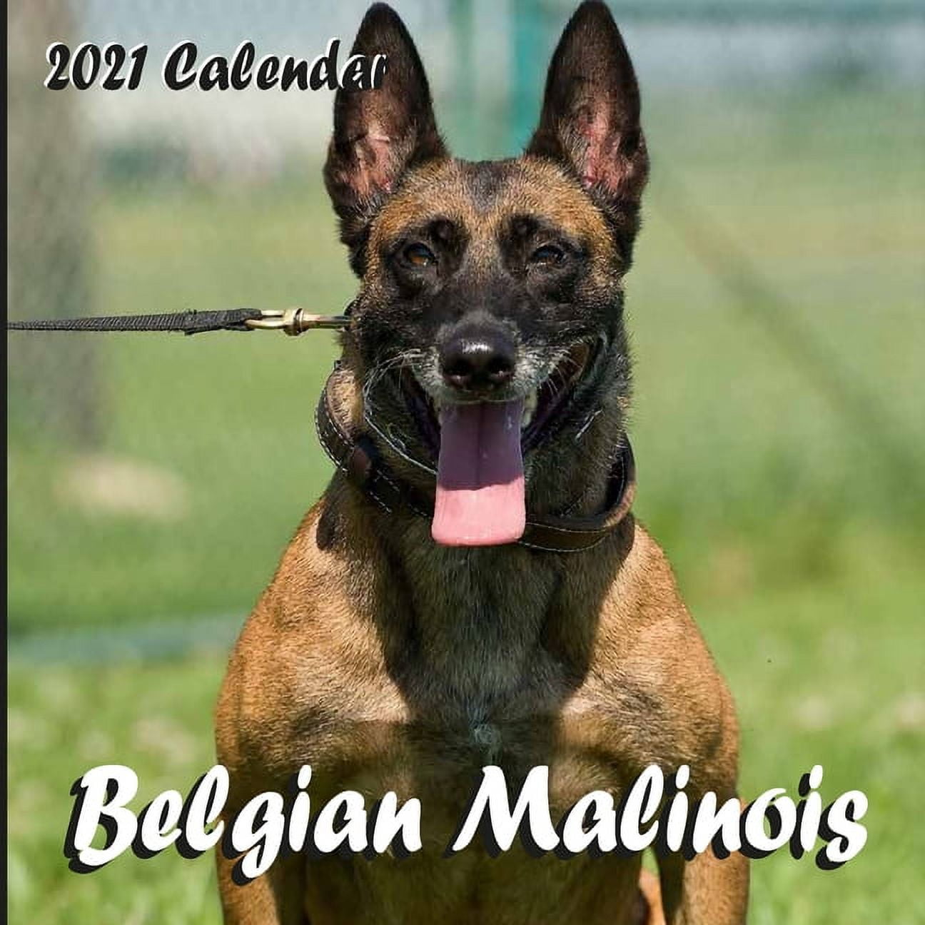 BELGIAN SHEPHERD MALINOIS: BELGIAN SHEPHERD MALINOIS (Chiens du monde Book  122) See more