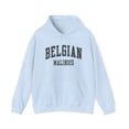 thumbnail image 1 of Belgian Malinois Dog Mom Mama Mother's Day Hoodie Gifts Sweatshirt Shirt, 1 of 4