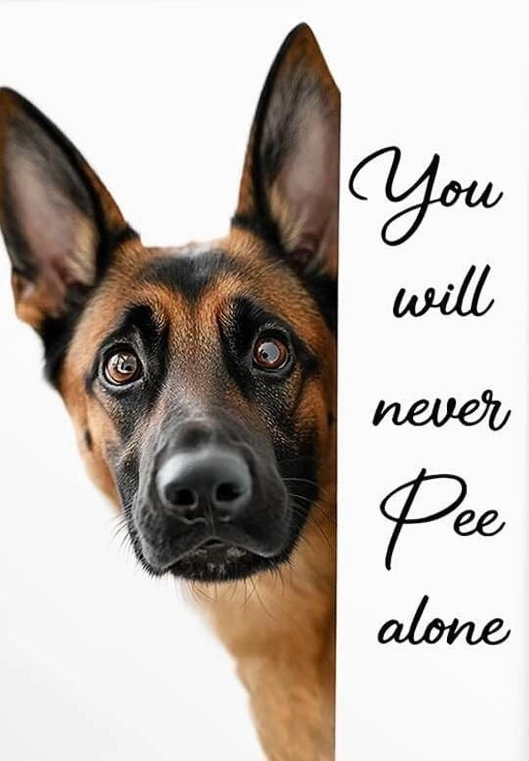 Belgian Malinois Poster - Funny Wall Art For Bathroom - You Will Never ...