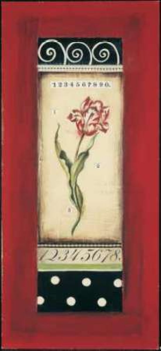 Belgian Tulip I Canvas Art - Kimberly Poloson (10 x 20)
