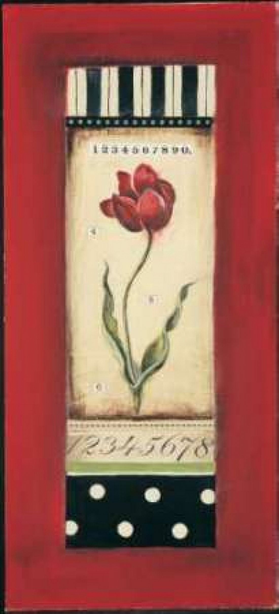 Belgian Tulip II Canvas Art - Kimberly Poloson (24 x 48)