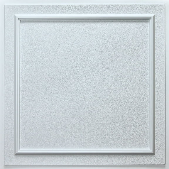 Belgium 2 ft. x 2 ft. Drop-in or Glue-Up PVC Ceiling Tile in White - Box of 10