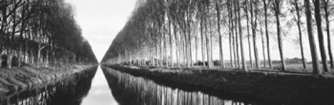 Belgium tree lined waterway through countryside Canvas Art - Panoramic Images (36 x 12)