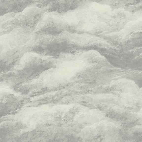 Belgravia Decor Nimbostratus Pewter Cloud Wallpaper