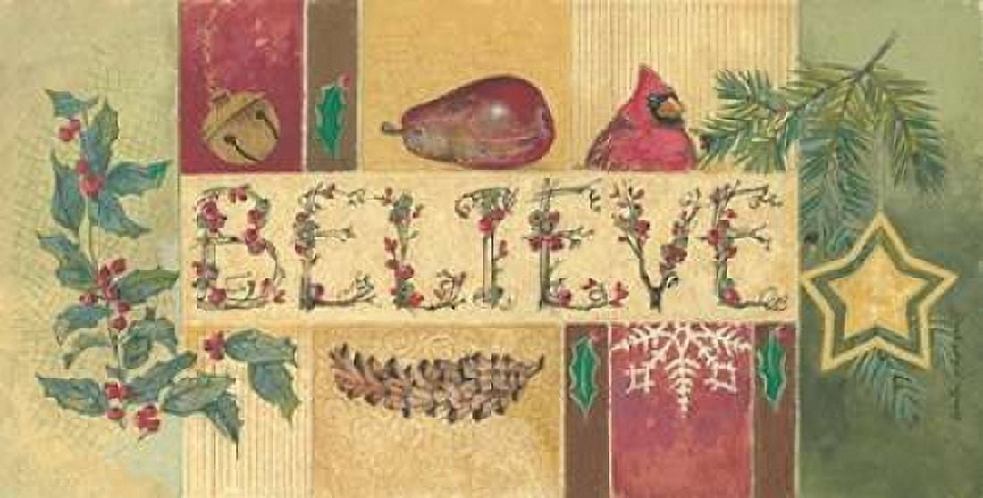Believe Canvas Art - Anita Phillips (24 x 48)