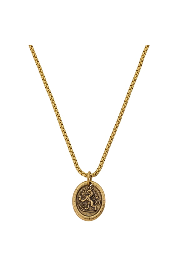 Men's Lion Oval Coin Pendant Necklace