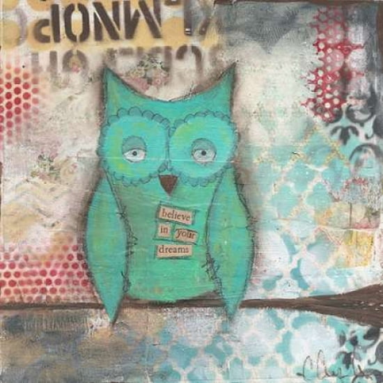 Believe in Your Dreams Owl Canvas Art - Cassandra Cushman (24 x 24)