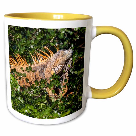 3drose, Belize, Crooked Tree, Male Green Iguana., 11oz Two-tone Yellow Mug