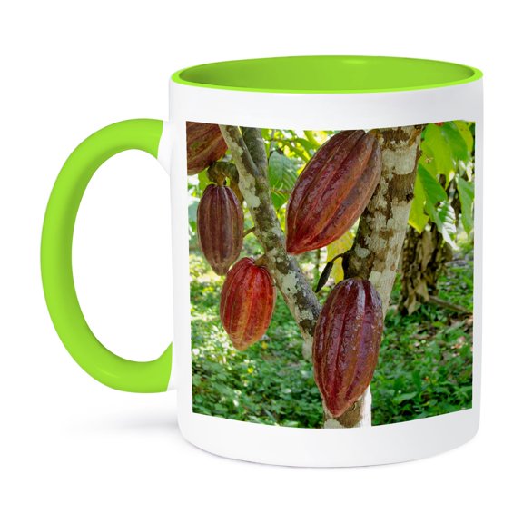 3dRose, Belize, Punta Gorda, Agouti Cacao Farm. Ripe cacao pod., 15oz Two-Tone Green Mug