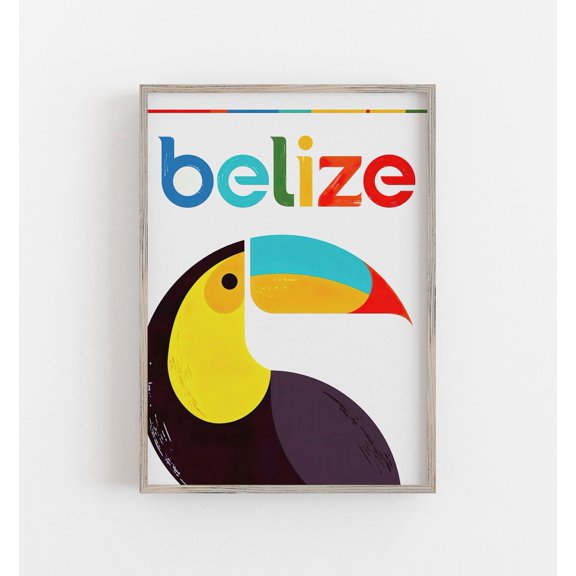 Belize Travel Poster, Retro Toucan Caribbean Wall Art, Poster Only