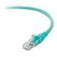 thumbnail image 1 of Belkin 10G patch cable - 20 ft - aqua - B2B, 1 of 2