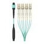 Belkin 3M MTP/LC Fiber Optic Cable 40GB Aqua Multimode 50/125 OM3 Plenum - patch cable - 10 ft