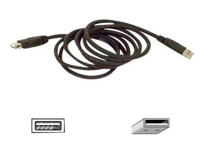Belkin F3u134-06 A To A Usb Extension Cable (f3u13406)