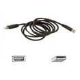 thumbnail image 1 of Belkin F3u134-06 A To A Usb Extension Cable (f3u13406), 1 of 1