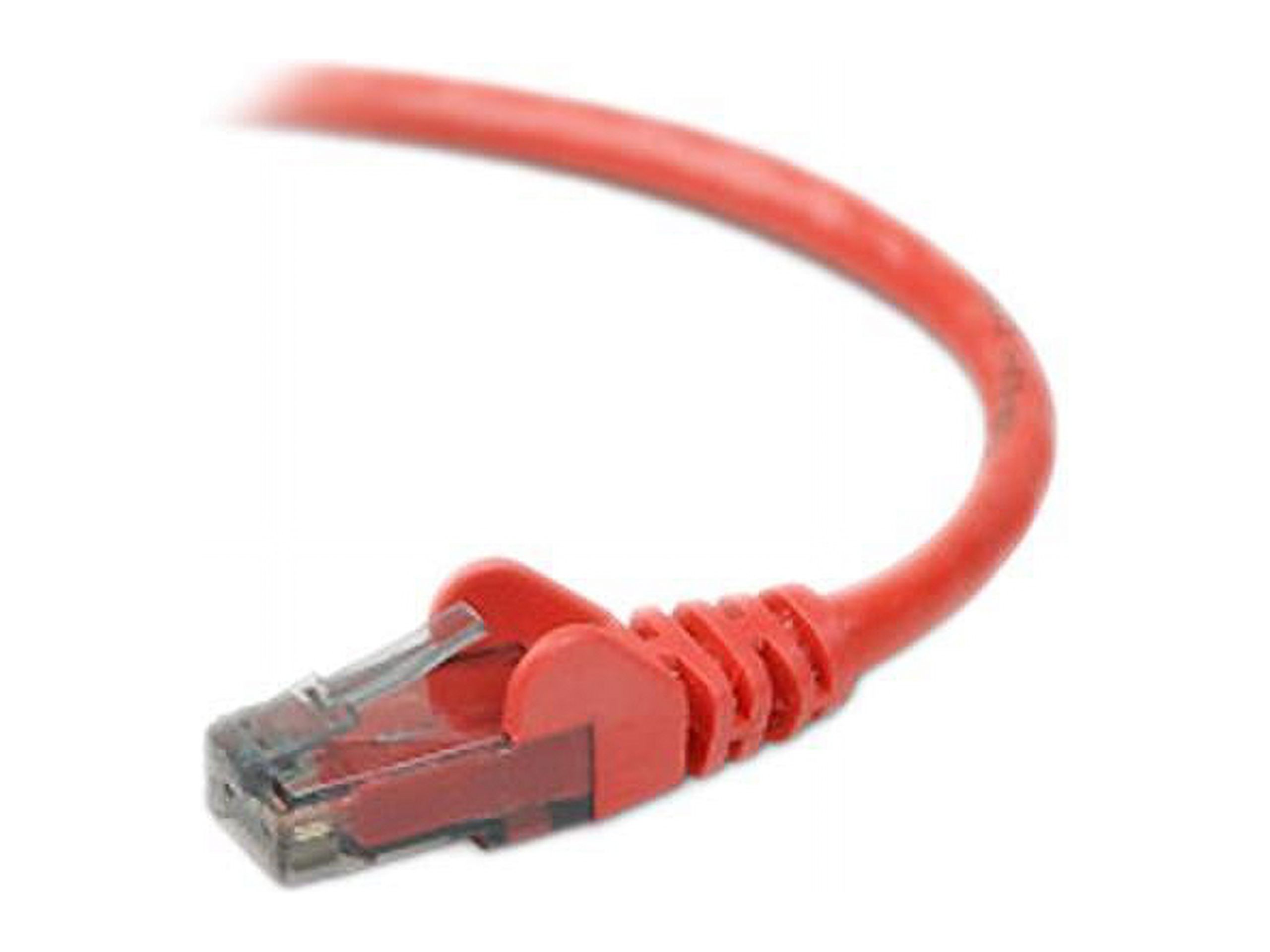 Belkin A3L980-01-RED-S 1 ft. Cat 6 Red Snagless Networking Cable
