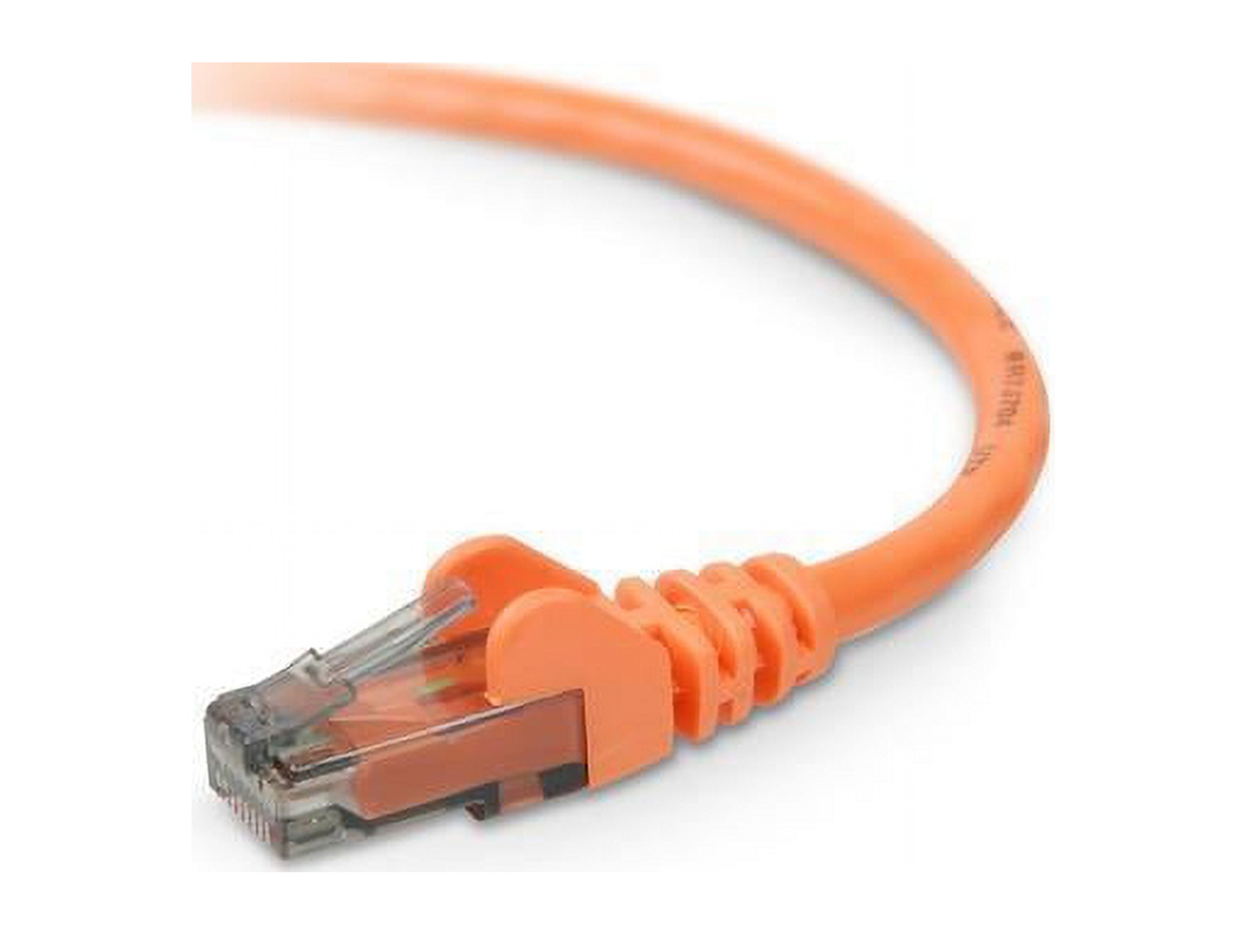 Belkin Cat. 6 UTP Patch Cable - image 1 of 2