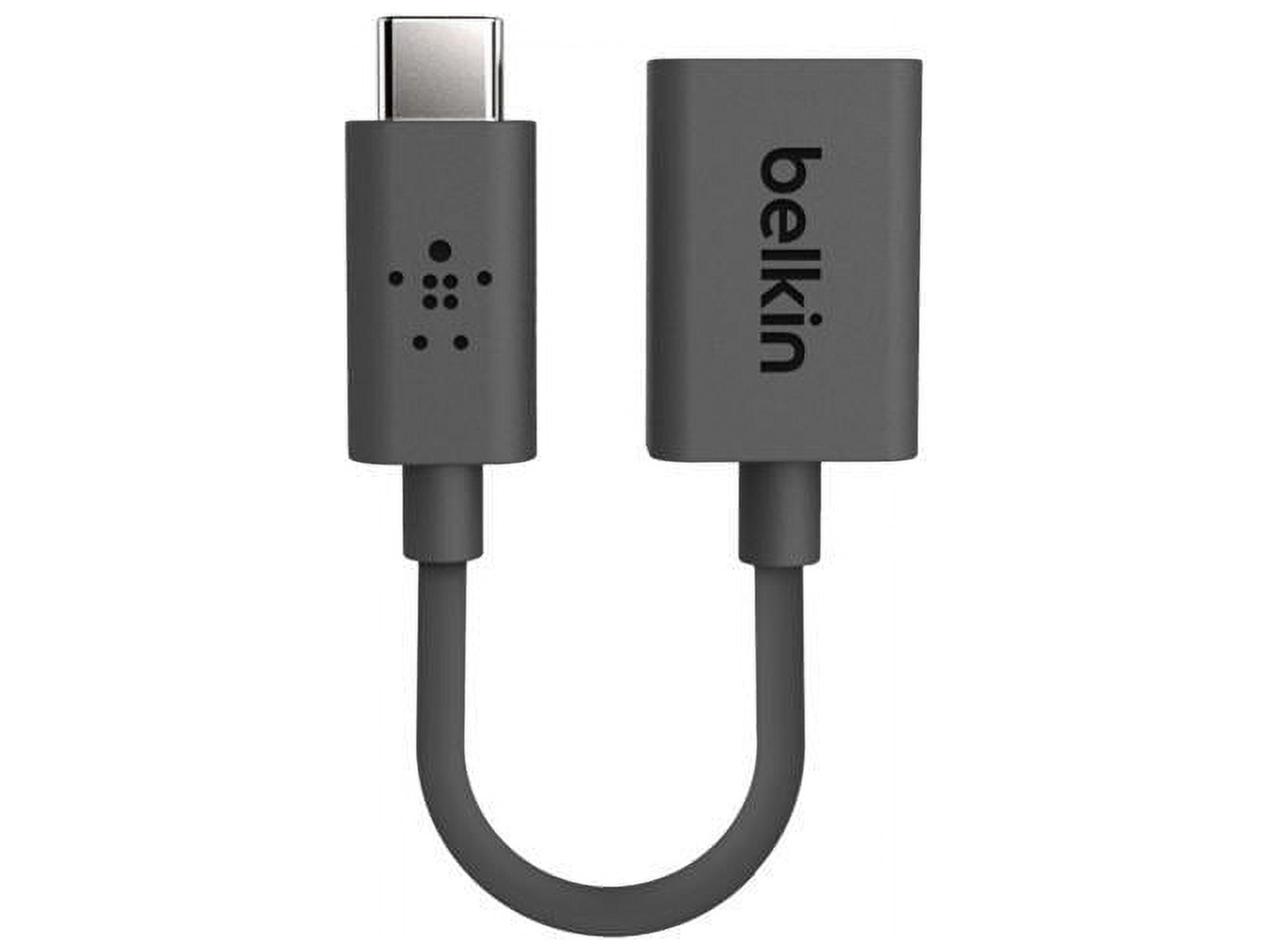 Belkin F2CU036btBLK USB-C to USB-A Adapter Walmart Business