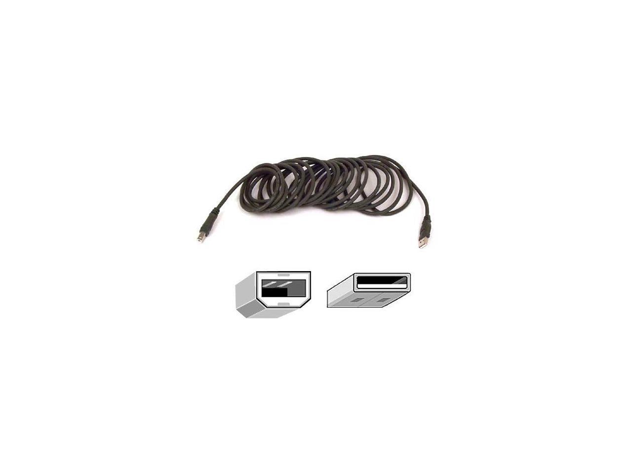 Belkin F3U133B10 10 ft. Hi-Speed Type A Male USB 2.0 to Type B Male USB 2.0 Cable - image 1 of 3