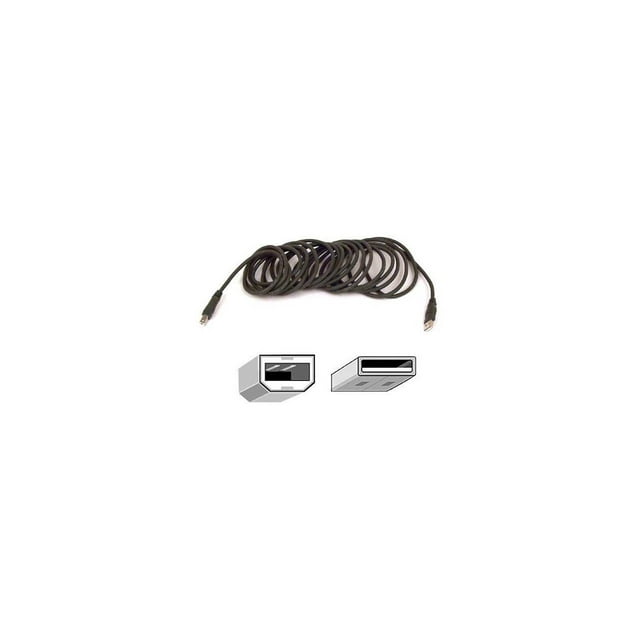 Belkin F3U133B10 10 ft. Hi-Speed Type A Male USB 2.0 to Type B Male USB 2.0 Cable