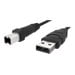 thumbnail image 1 of Belkin F3U133b06 Black Hi-Speed USB 2.0 Cable, 1 of 7