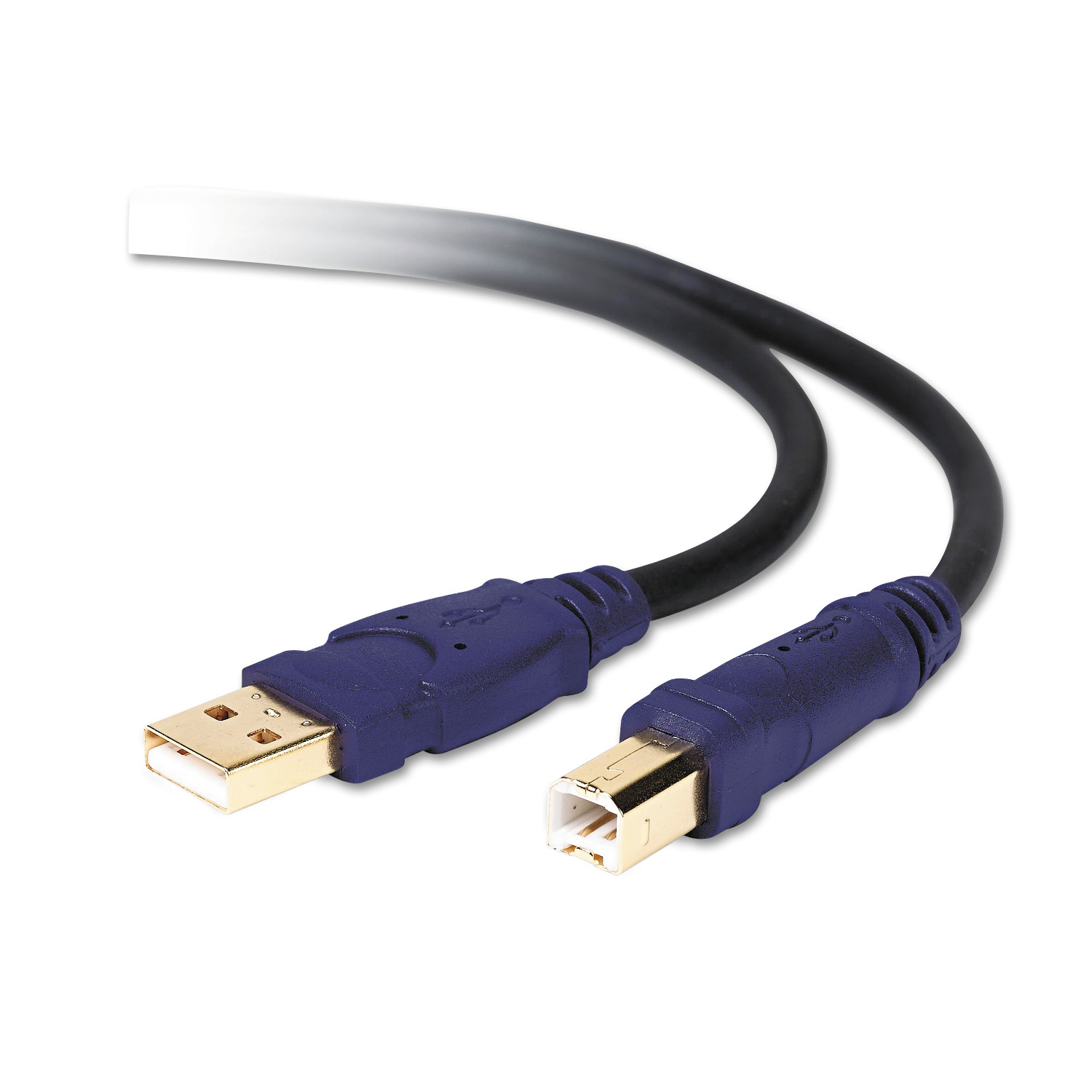 Belkin Gold Series High-Speed USB 2.0 Cable, 10 ft., Black/Blue - image 1 of 2