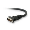 thumbnail image 1 of Belkin SALE DVI-D Dual-Link Cable, 10 feet, Black, 1 of 2