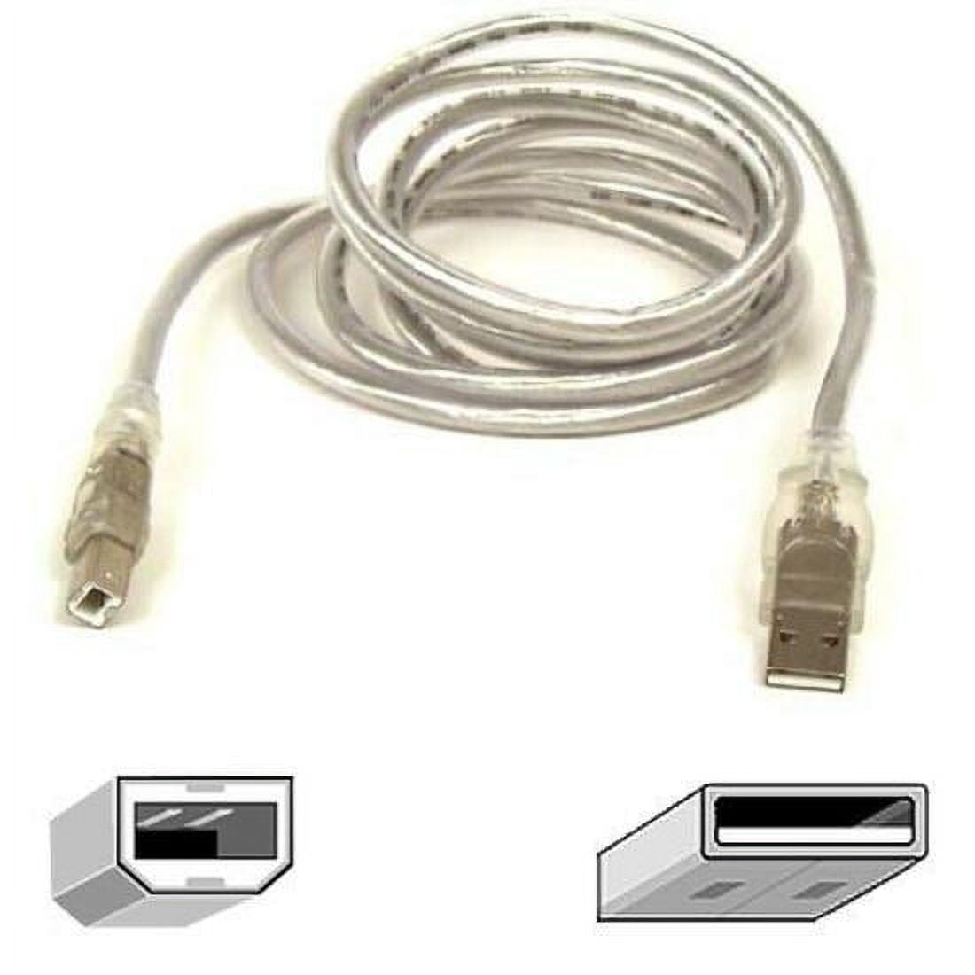 Belkin USB 2.0 Cable - Walmart.com