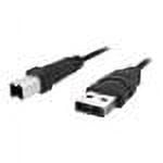 Belkin USB cable - 10 ft