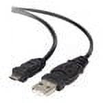 Belkin USB cable - 3 ft - B2B