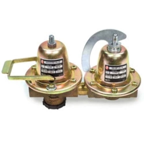 Bell Gossett 110197 - Dual Unit Pressure Reducing/Relief Valve