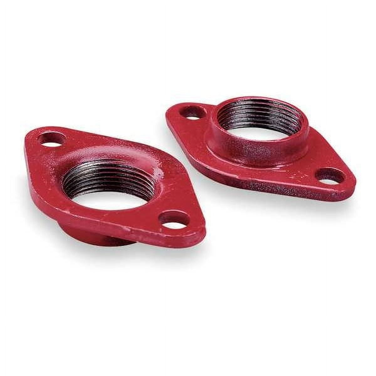 Bell & Gossett Red Cast Iron 1" FNPT Flange Set