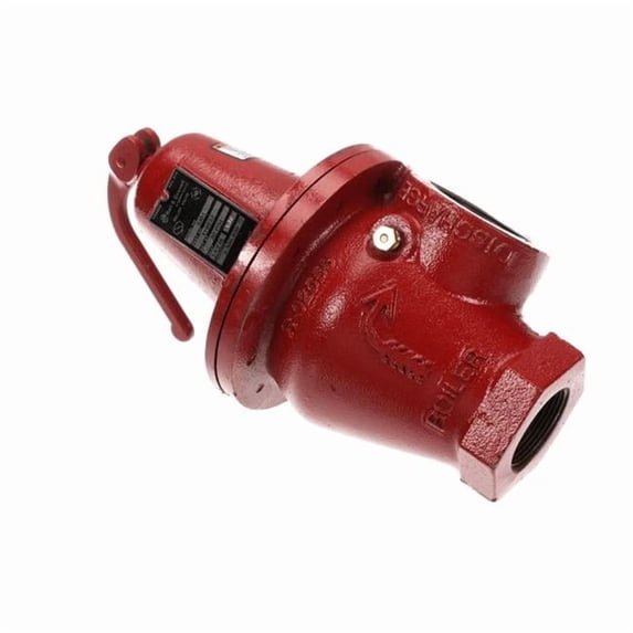 Bell & Gossett 110033 Genuine OEM Safety Relief Valve - 30 in.