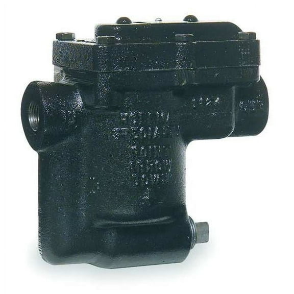 Bell & Gossett Steam Trap,125 psi,6-15/16 In. L B1125S-3